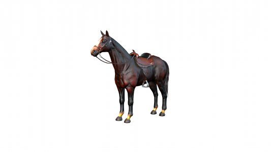 Horses and Track Theme Pack for Iclone 8 + Motions