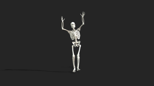 Iclone 8 Skeleton iAvatar with Dance Motions Downoad