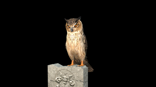 Owl iAvatar + Motions + Cemetry Iprops for Iclone 8